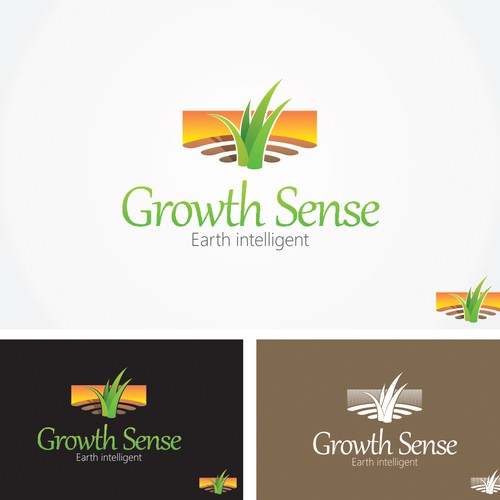 Growth Sense