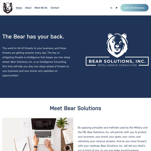 Bear Solutions Consulting Firm Design