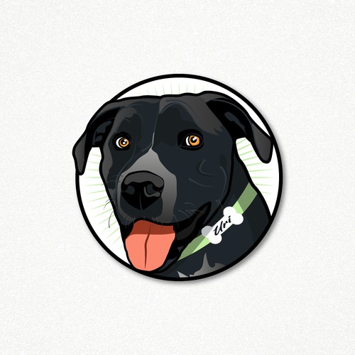 ILLUSTRATOR