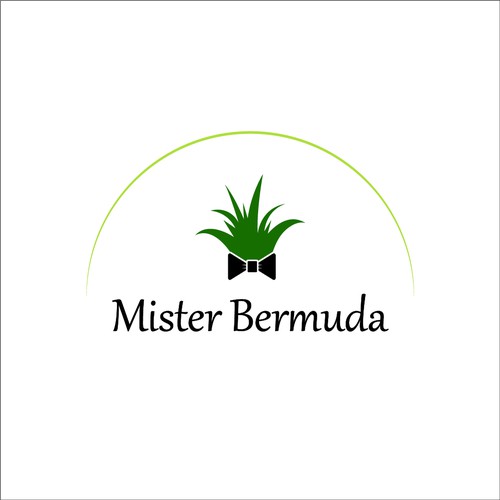 Mister Bermuda