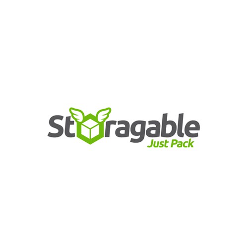 Logo For a Unique Storage Company