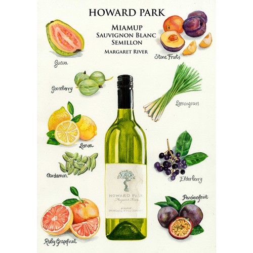 Watercolor illustration of white wine and flavours