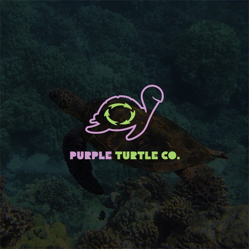 Purple Turtle Co.