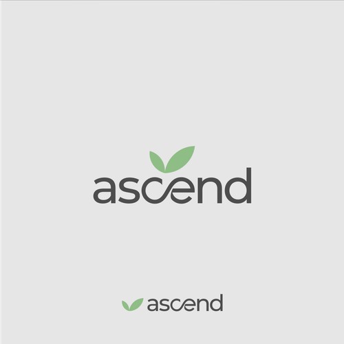 Ascend Logo Design  - the largest cannabis retail dispensary in the country