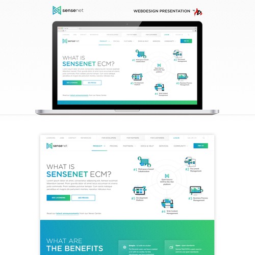 Sensenet website Design