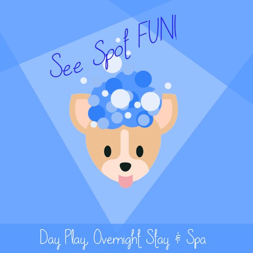 Pet Spa Colorful