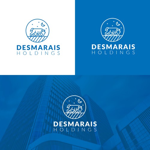 Logo concept for a Holdings Company
