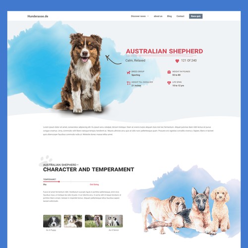 Design website to help people find the perfect dog breed