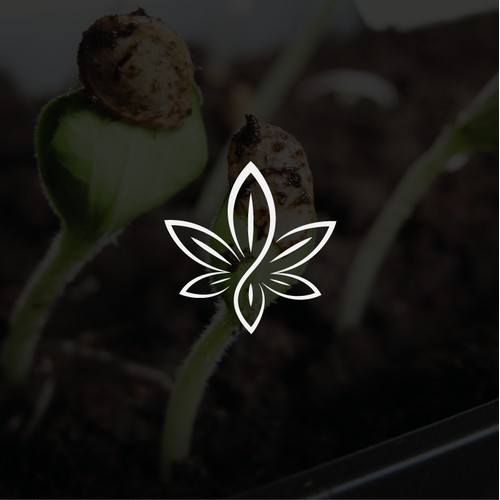 Cannabis seed logo