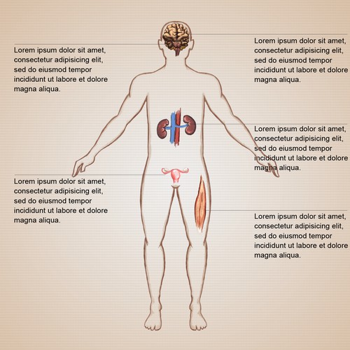 Illustrations for Paleo Diet