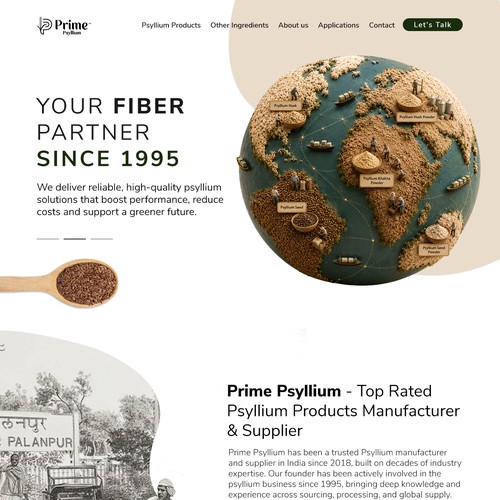 Website Design