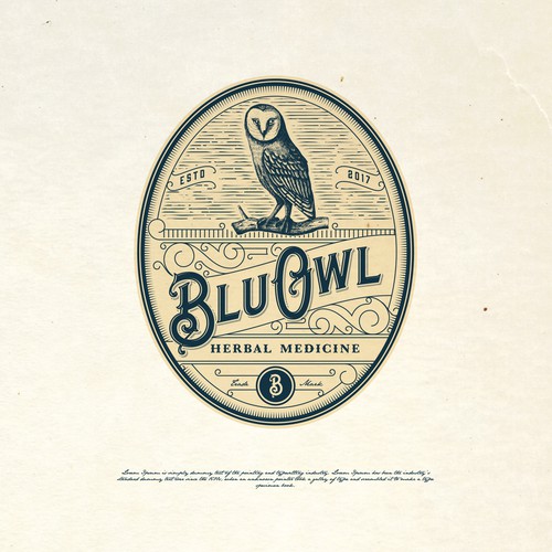 BLUE OWL LOGO PROPOSAL