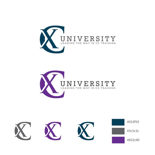 CX University