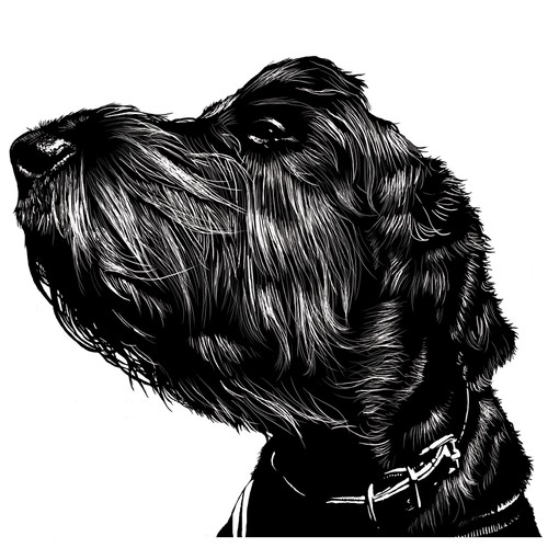 illustration of a dog