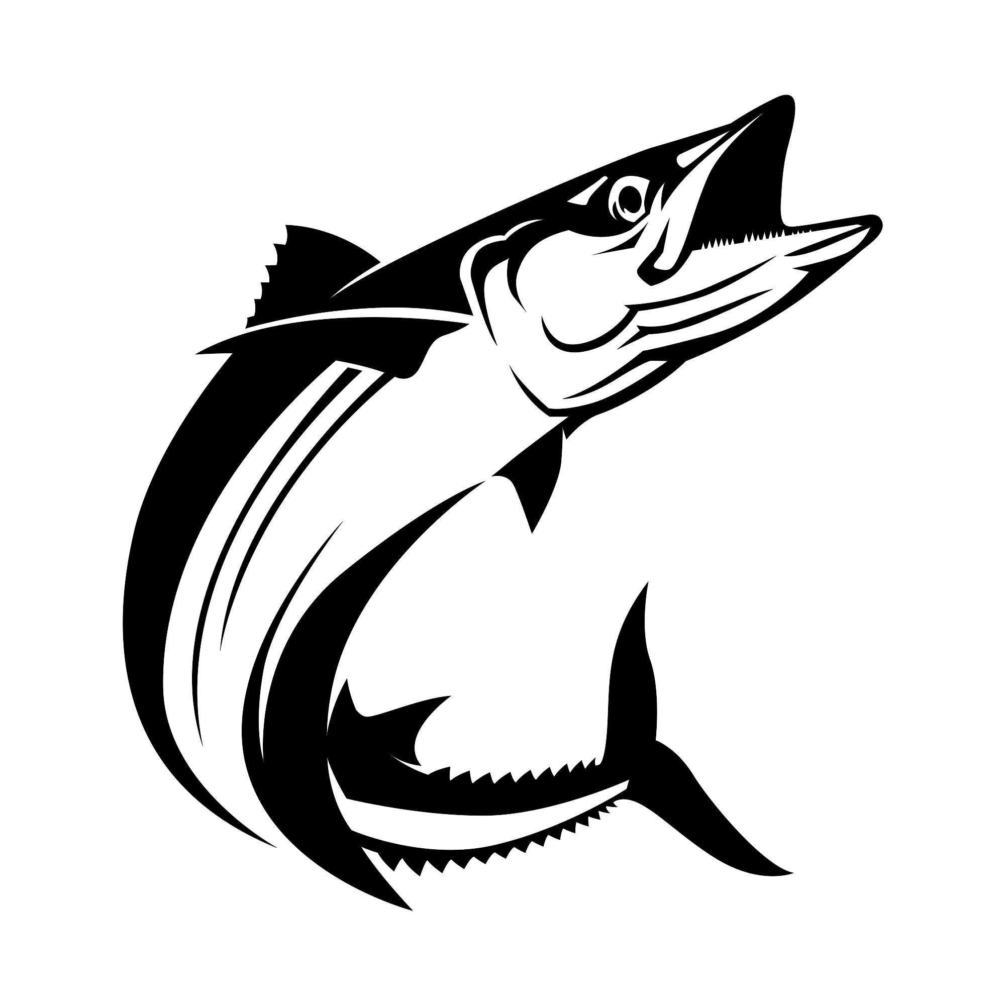 Kingfish Graphic