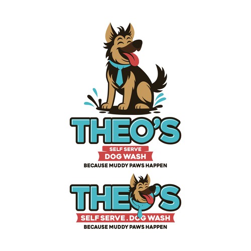 THEO'S SELF SERVE DOG WASH