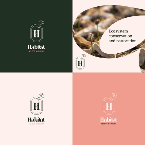 Sophisticated and mature logo concept for a tree nursery