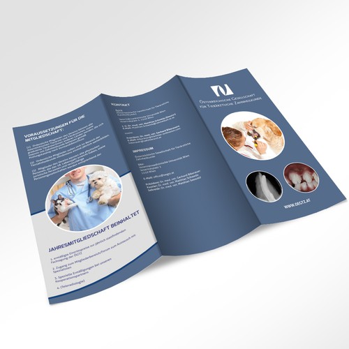 Erstellt eine moderne Infobroschüre für die ÖGTZ