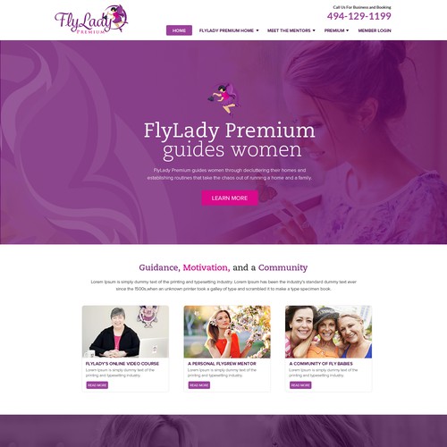 Web Design Concept For Fly Lady