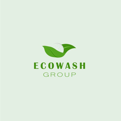 concept logo ECOWASH