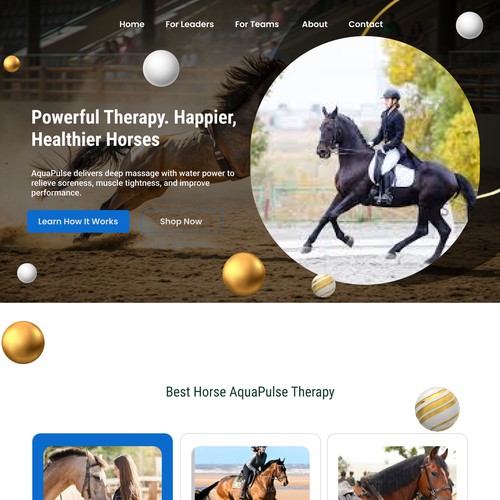 AquaPulse – Equine Hydrotherapy Landing Page Design