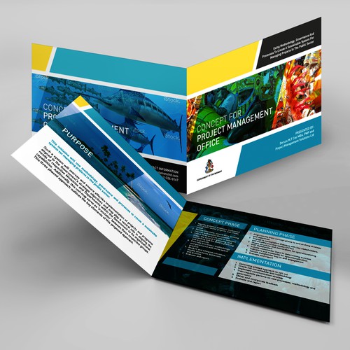 Brochure Design