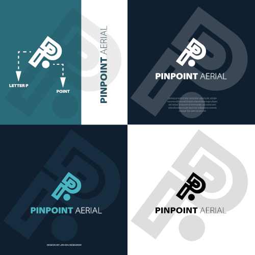 PINPOINT AERIAL CONCEPT LOGO DESIGN