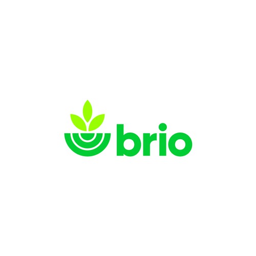 Logo for Brio a B2B Collaboration Software