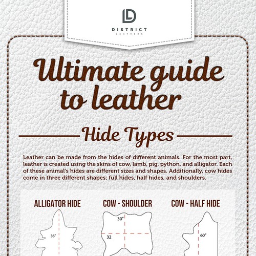 infographic ultimate guide to leather