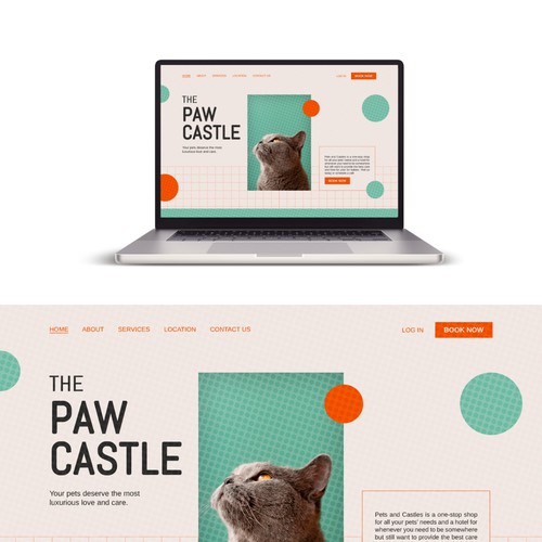  Playful Cat Website Design