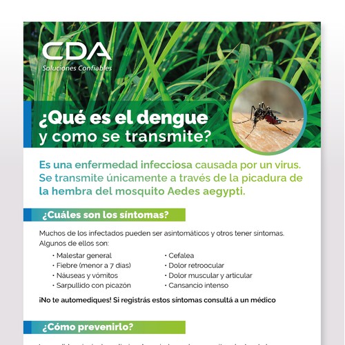 Dengue Prevention Email