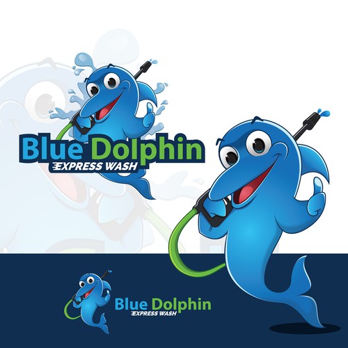 Blue Dolphin Express Wash
