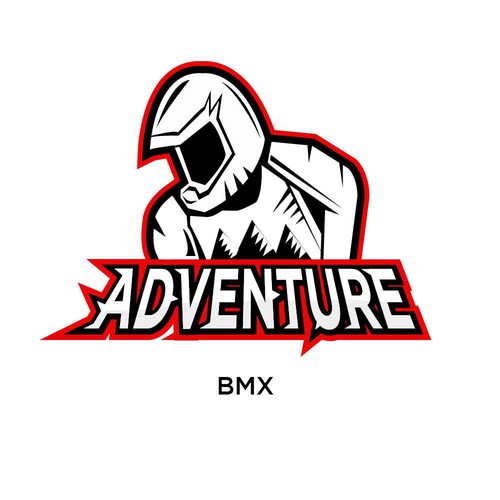 Sports logo for a BMX company
