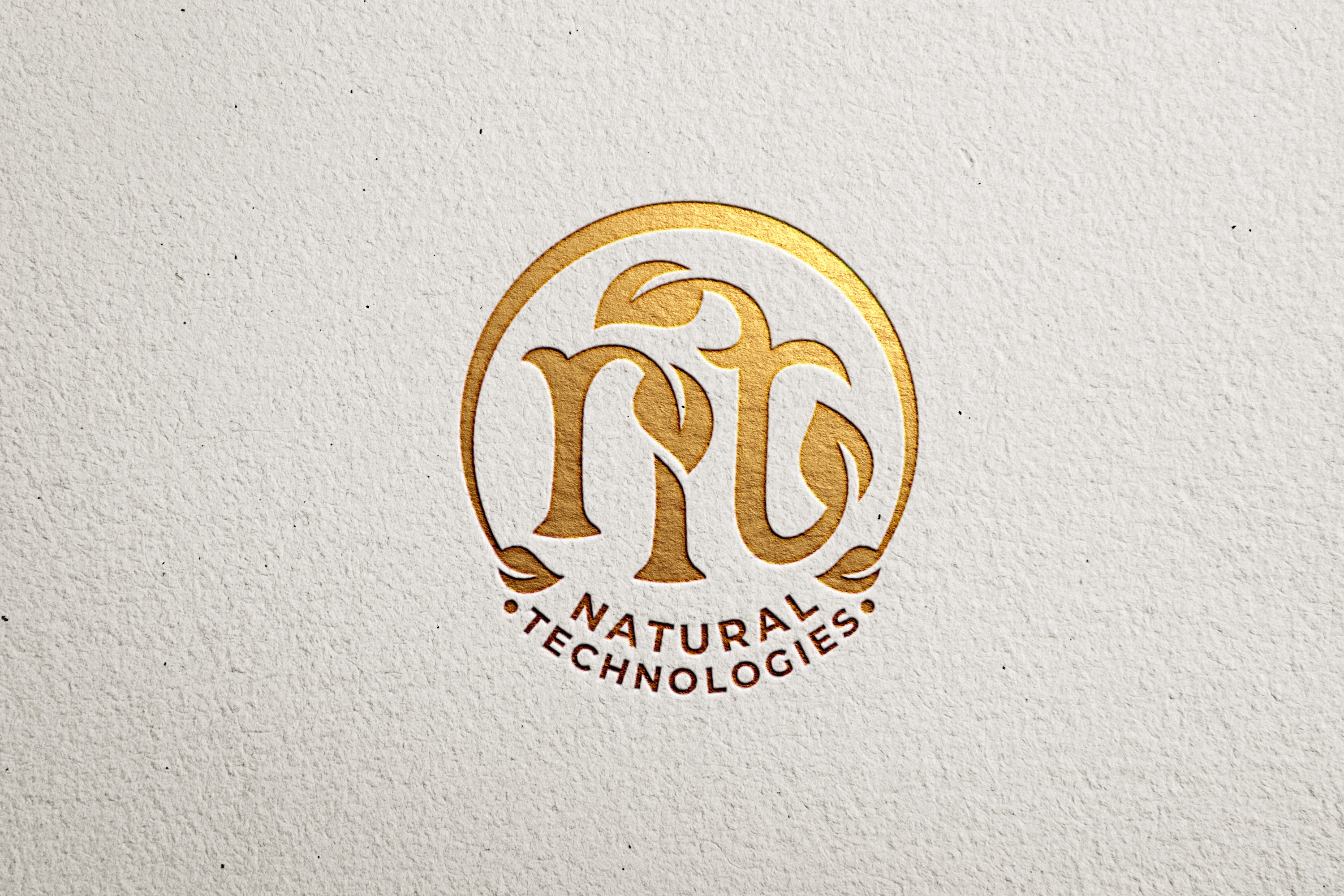 Logo for a new family owned company for Vinegar (fruit, wine and balsamic) and Mustard production.