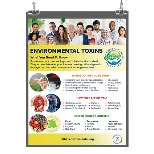 Informative poster about Environmental Toxins. 