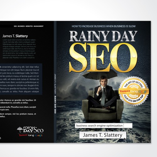 BIG RELEASE BOOK:  Rainy Day SEO  (Cover Needed)