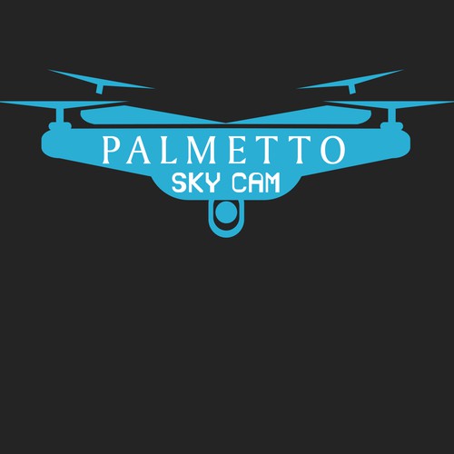 Palmetto Sky Cam