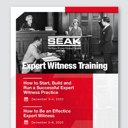 Expert Witness Training Flyer