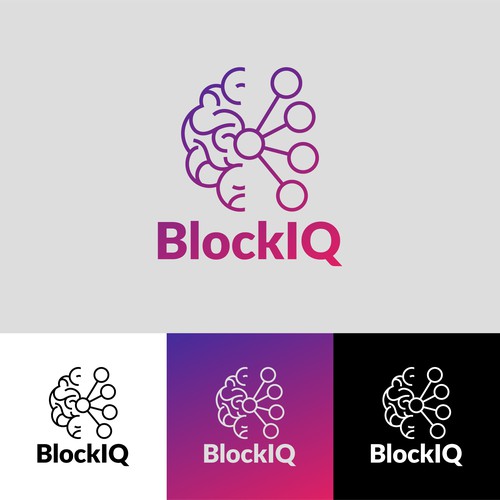 Logo Concept for BlockIQ