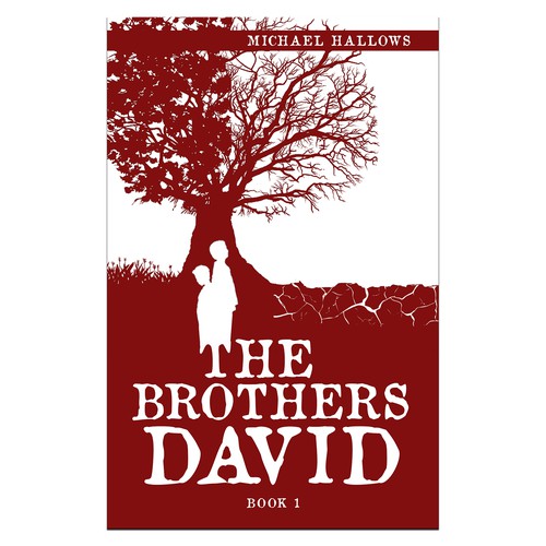 Book cover for "The Brothers David"