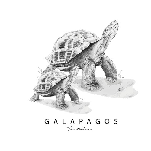Galapagos Tortoises Logo