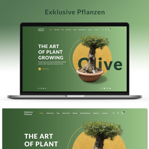 Exclusive plant shop design