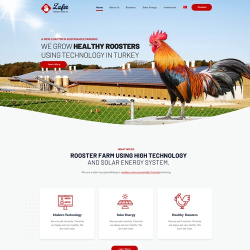 Creative website for agriculture company