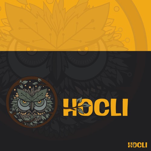 logo for Hocli