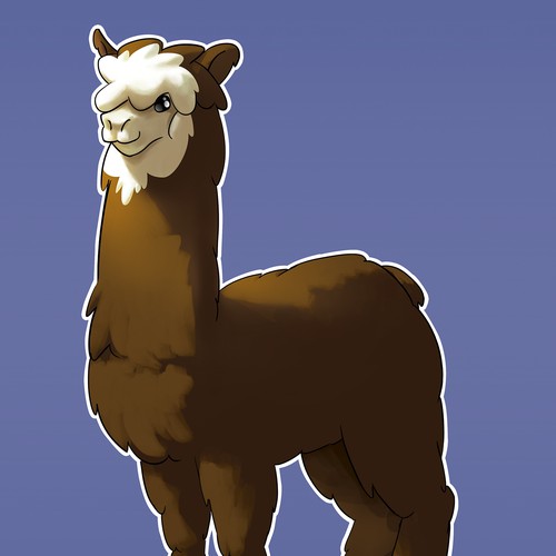 alpaca