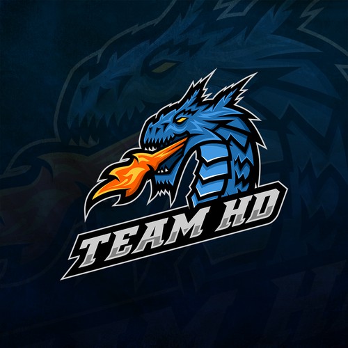 Team HD E Sport logo