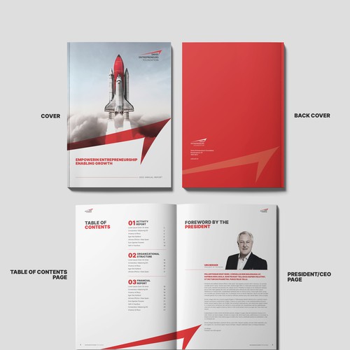 Annual Report Template for SwissEF