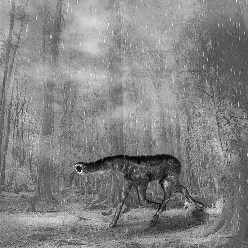 Creature creation
