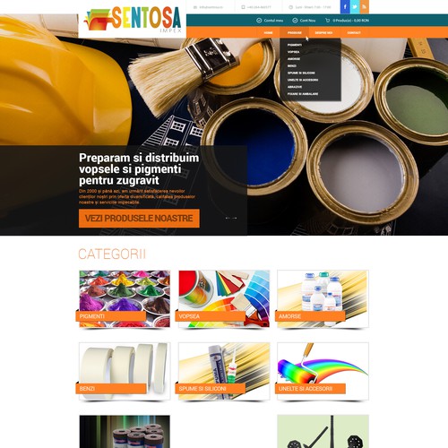 Sentosa Painting Company