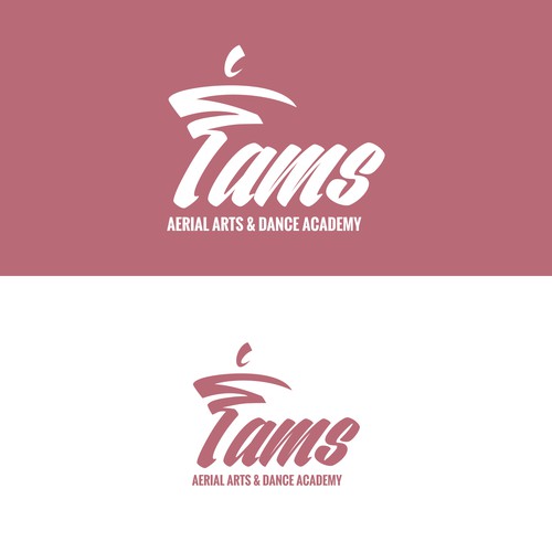 TAMS Aerial Arts & Dance Studio
